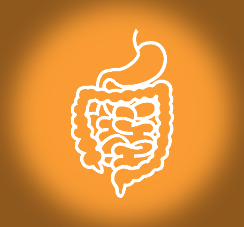 GASTRO INTESTINAL  